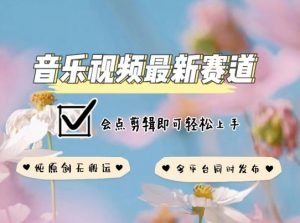 音乐视频赛道最新玩法，纯原创不违规，可所有平台同时发布，会点剪辑即可轻松拿捏【揭秘】-木石资源网