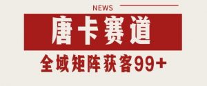 小红书某音唐卡赛道引流获客 自热矩阵日引200+【揭秘】-木石资源网