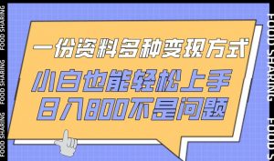 一份资料多种变现方式，小白也能轻松上手，日入800不是问题【揭秘】-木石资源网