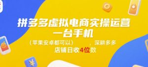 拼多多虚拟电商实操运营,一台手机(苹果安卓都可以),深耕多多店铺日收4位数-木石资源网