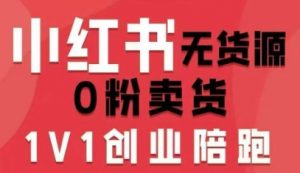 小红书无货源0粉电商课,开店准备、选品策略、笔记撰写、视频剪辑、数据分析、账号打造、资料文档-木石资源网