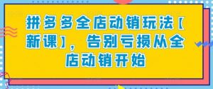 拼多多全店动销玩法【新课】，告别亏损从全店动销开始-木石资源网