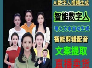 伍老师Ai数字人快速剪辑制作以及变现视频课-木石资源网