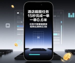 酒店截图任务，15秒完成一单，一单0.6米，任务不限量随便接，矩阵拉满单日3张【揭秘】-木石资源网