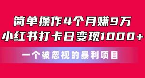 简单操作4个月赚9w,小红书打卡日变现1k,一个被忽视的暴力项目【揭秘】-木石资源网