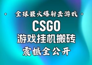 【年底大揭秘】基于全球最火爆的射击CSGO游戏挂G搬砖,日入5张+,震撼公开-木石资源网