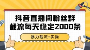 抖音直播间粉丝群暴力截流，一台电脑每天稳定2000条数据【揭秘】-木石资源网