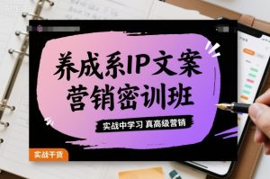 养成系IP文案营销密训班，实战中学习真高级营销-木石资源网