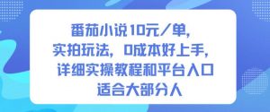 番茄小说10米每单,实拍玩法,0成本好上手,详细实操教程和平台入口适合大部分人-木石资源网