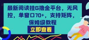 最新阅读挂G撸金平台，无风控，单窗口70+，支持矩阵，保姆级教程【揭秘】-木石资源网