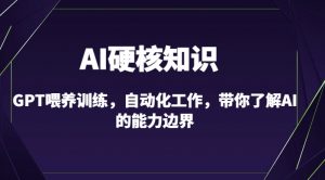 AI硬核知识-GPT喂养训练,自动化工作,带你了解AI的能力边界(10节课)-木石资源网