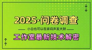 2025问卷调查最新工作室技术解密:一个人在家也可以闷声发大财,小白一天2张,可矩阵放大【揭秘】-木石资源网
