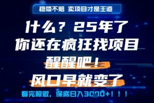 什么?25年你还在疯狂找项目做,醒醒吧,看完这些你全都懂了!【揭秘】-木石资源网