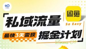 私域流量掘金计划实战训练营,最快3天变现-木石资源网