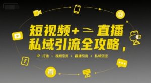 短视频+直播私域引流全攻略，IP打造 +视频引流 +直播引流 +私域沉淀-木石资源网