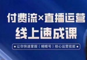 视频号付费流实操课程,付费流✖️直播运营速成课,让你快速掌握视频号核心运营技能-木石资源网