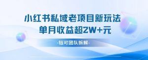 小红书私域项目新玩法,单月变现过W+-木石资源网