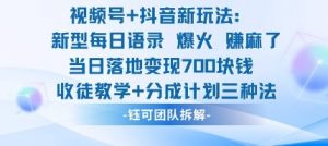视频号加抖音新玩法:爆火新型每日语录,收徒教学加分成计划,三种变现玩法,当日变现7张-木石资源网