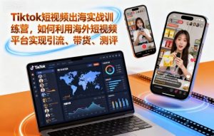 Tiktok短视频出海实战训练营,如何利用海外短视频平台实现引流、带货、测评-木石资源网