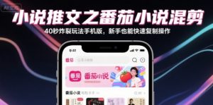 小说推文之番茄小说混剪40秒炸裂玩法手机版，新手也能快速复制操作-木石资源网