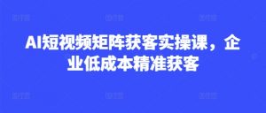 AI短视频矩阵获客实操课,企业低成本精准获客-木石资源网
