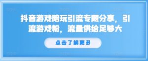抖音游戏陪玩引流专题分享，引流游戏粉，流量供给足够大-木石资源网