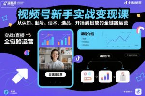 视频号新手实战变现课,从认知、起号、话术、选品、开播到投放的全链路运营-木石资源网