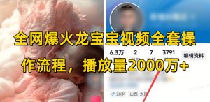 全网爆火龙宝宝视频全套操作流程,播放量2000万+-木石资源网