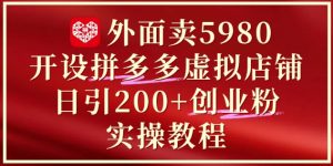 外面卖5980开设拼多多虚拟店铺：单日引流200+创业付费粉实战教程-木石资源网