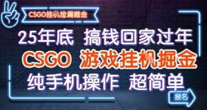 25年底搞钱回家过年,CSGO游戏挂G掘金,纯手机操作超简单【揭秘】-木石资源网