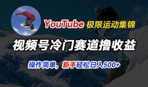 视频号冷门赛道撸收益，YouTube搬运极限运动集锦，暴力起号，操作简单流量高，轻松日入5张【揭秘】-木石资源网