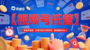 【视频号托管 】我提供视频,你每天花5分钟发布,最高躺挣2W+【揭秘】-木石资源网