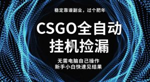 【稳定副业】全球最热门游戏CSGO全自动捡漏，最新玩法，新手小白日入5张+【揭秘】-木石资源网