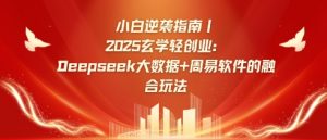 小白逆袭指南,2025玄学轻创业:Deepseek大数据+周易算法的融合玩法-木石资源网