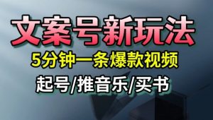 文案号新玩法，5分钟一条爆款视频，流量高，起号快，多方位变现-木石资源网
