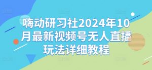 嗨动研习社2024年10月最新视频号无人直播玩法详细教程-木石资源网