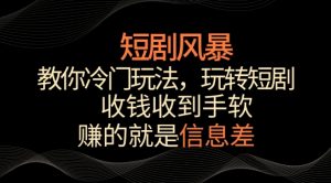 短剧风暴,教你冷门玩法,玩转短剧,收钱收到手软【揭秘】-木石资源网