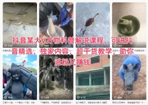 抖音某大V万物科普解说课程，可进抖音精选，独家内容，超干货教学，助你涨粉又賺钱-木石资源网