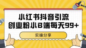 小红书抖音创业粉，小B端粉自热，日引99+的一个玩法【揭秘】-木石资源网
