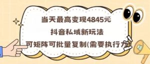 当天最高变现1k+,抖音私域新玩法,可矩阵可批量复制-木石资源网