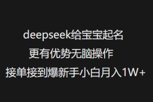 deepseek给宝宝起名更有优势无脑操作接单接到爆新手小白月入1W+-木石资源网