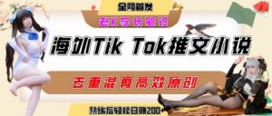 海外tiktok小说推文暴力项目,高停留率,高转化率,上手后一天搞顿饭钱不是问题-木石资源网