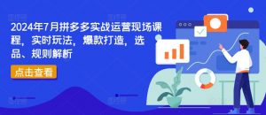 2024年7月拼多多实战运营现场课程,实时玩法,爆款打造,选品、规则解析-木石资源网