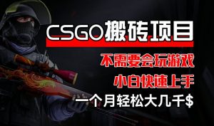 CSGO 装备搬砖项目，操作简单，不需要会玩游戏，小白也能快速上手，一个月轻松大几千【揭秘】-木石资源网