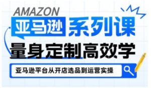亚马逊新手开店从入门到精通,全面覆盖亚马逊开店各阶段要点,助新手从入门到精通-木石资源网