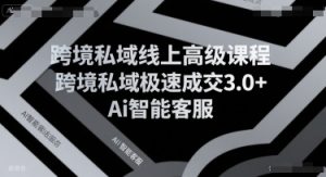 跨境私域线上高级课程，跨境私域极速成交3.0+Ai智能客服-木石资源网