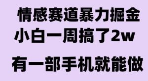 情感暴力掘金项目，新人操作一周挣了2W，长期稳定小白可做【揭秘】-木石资源网