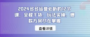 2024多多运营必听的12节课,全程干货,玩法实操,爆款方案尽在掌握-木石资源网