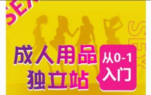 成人用品独立站从0-1入门，成品独立站运营全流程教学，七大好卖成品独立站推荐-木石资源网