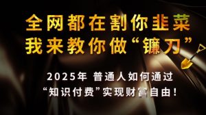 全网都在割你韭菜,我来教你做镰刀,2025普通人如何通过知识付费,实现财F自由【揭秘】-木石资源网